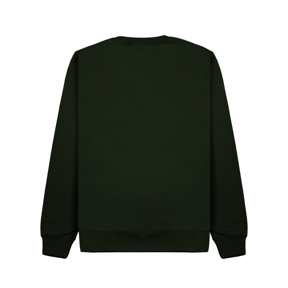 CR03K-v2.0-SolarKidsForest