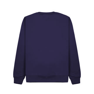 CR03K-v2.0-SolarKidsPurple